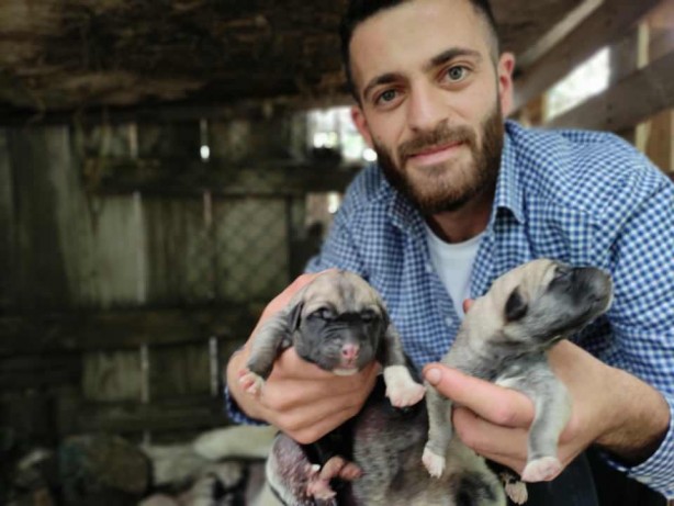 Foto - Sahibine servet kazandırdı