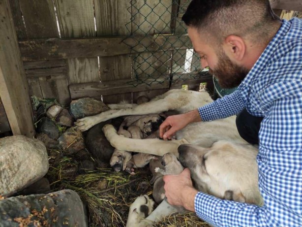 Foto - Sahibine servet kazandırdı