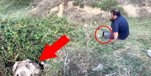 Foto - Sahibinin başında bıçakla beklediği ineği kesilmekten itfaiye kurtardı