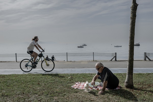 Foto - Sahibinin yanından ayrılmıyor! Bildiğiniz tüm tavukları unutun! 