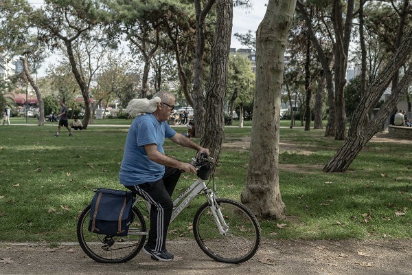 Sahibinin yanından ayrılmıyor! Bildiğiniz tüm tavukları unutun! 
