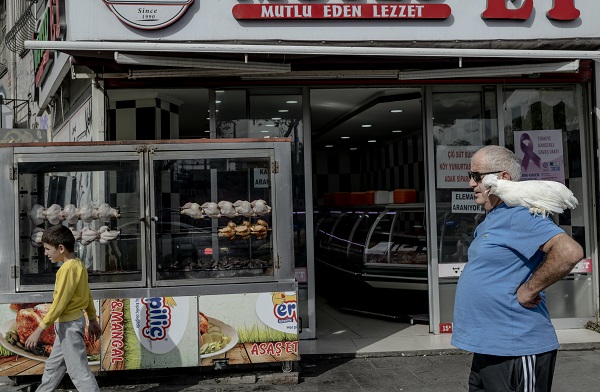 Foto - Sahibinin yanından ayrılmıyor! Bildiğiniz tüm tavukları unutun! 
