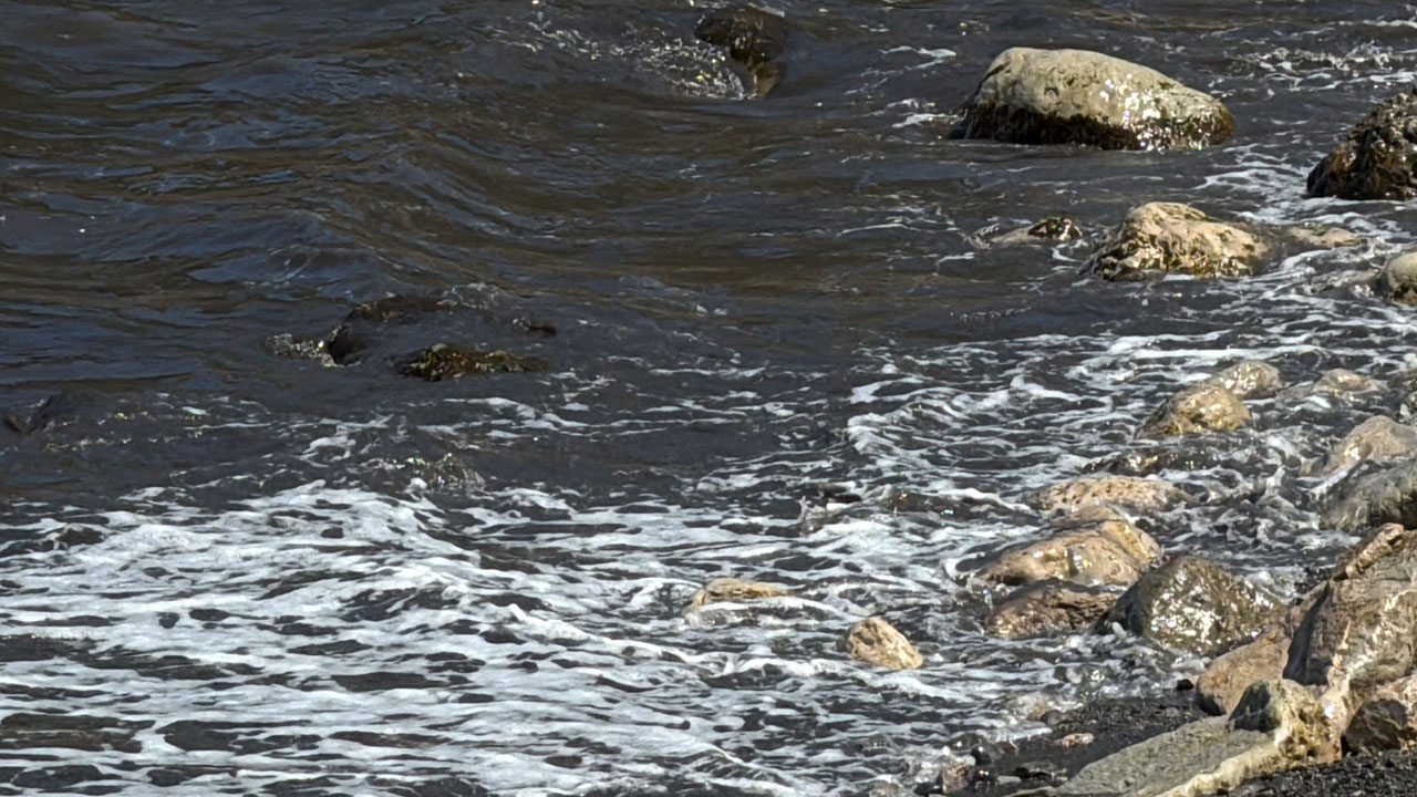 Foto - Sahil siyaha büründü! Binlerce turistin geldiği sahilde kirlilik alarmı