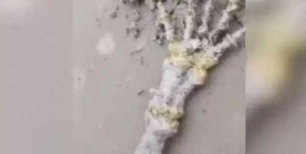 Foto - Sahilde dehşete düşüren görüntü! Sırrı hala çözülemedi