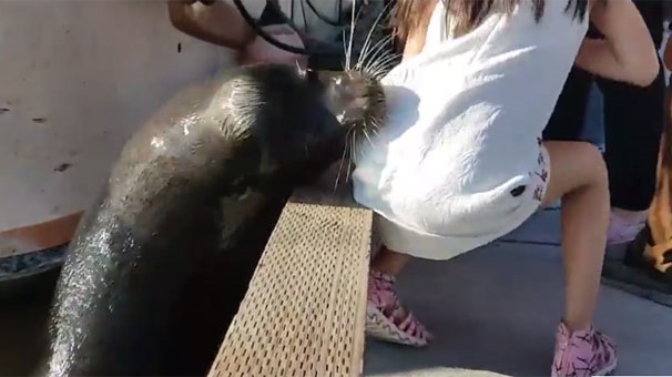 Foto - Sahilde oturan kızı bir anda suya çekti