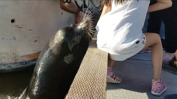 Foto - Sahilde oturan kızı bir anda suya çekti