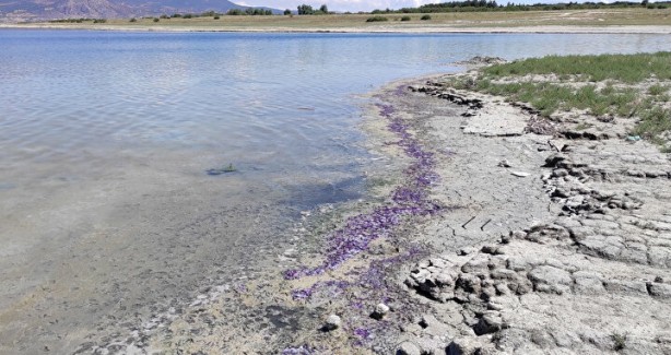 Foto - Sahildeki sıra dışı görüntünün nedeni belli oldu