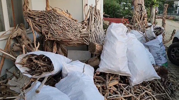 Foto - Sahilden topluyor sanat eserine çeviriyor