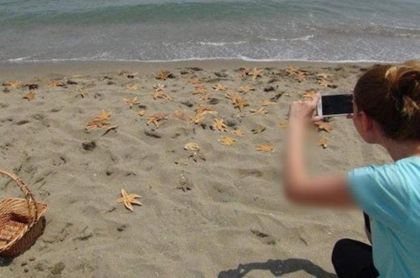 Foto - Sahile inenler gördükleri karşısında hayrete düştü!