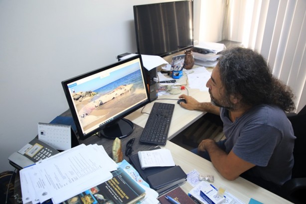 Foto - Sahile vuran balinanın nekropsi işlemleri tamamlandı