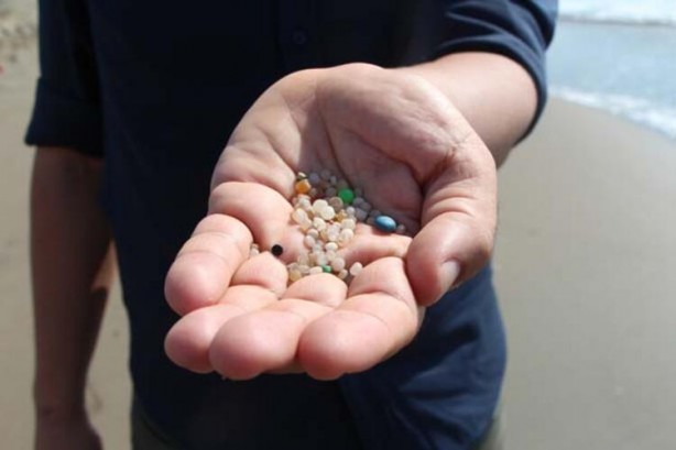 Foto - Sahillerimizde ortaya çıktı! Adeta zehirli bomba