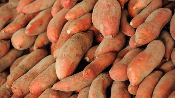 Foto - Şahin gibi gören gözler için 6 besin! Havuçtan bile güçlü kara lahana etkisi