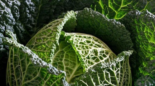 Foto - Şahin gibi gören gözler için 6 besin! Havuçtan bile güçlü kara lahana etkisi