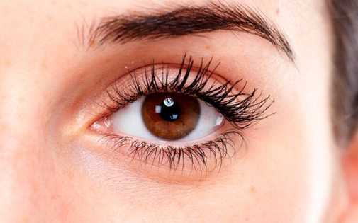 Foto - Şahin gibi gözler için 11 besin