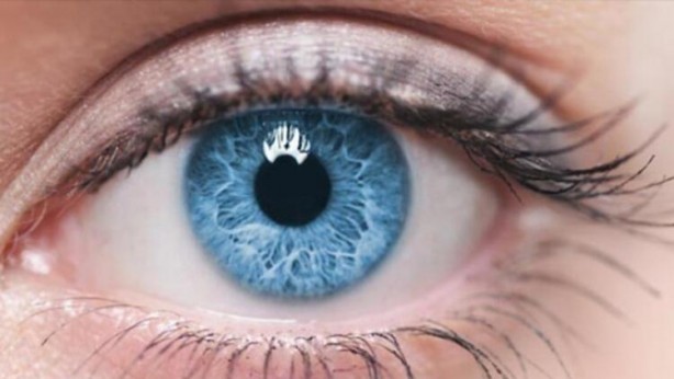 Foto - Şahin gibi gözler için 11 besin