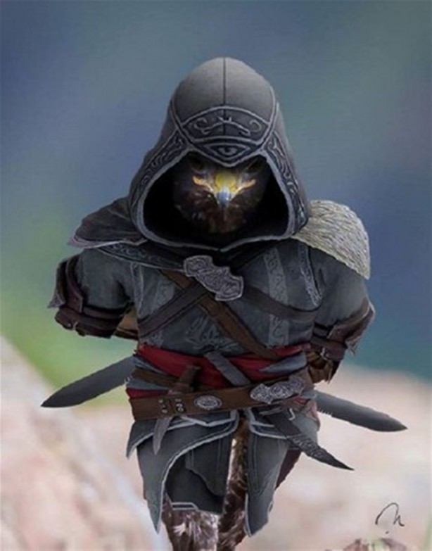 Foto - Şahinin karizması interneti salladı