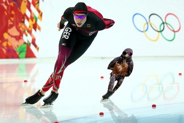 Foto - Şahinin karizması interneti salladı