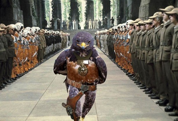 Foto - Şahinin karizması interneti salladı