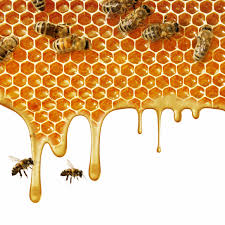 Foto - Sahte bal nasıl anlaşılır? Uzmanlardan kritik uyarı Bu yöntem sayesinde gerçek balı hemen anlayacaksınız! Satın alanlar...