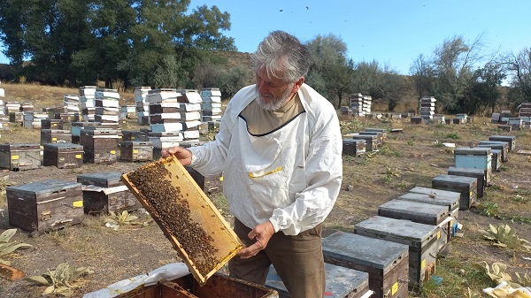 Foto - Sahte bal sağlığı tehdit ediyor