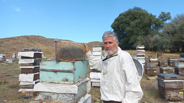 Foto - Sahte bal sağlığı tehdit ediyor