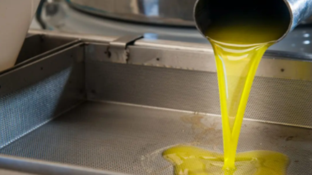 Sahtekarlık yapan zeytinyağı markaları belli oldu! İşte tam liste...