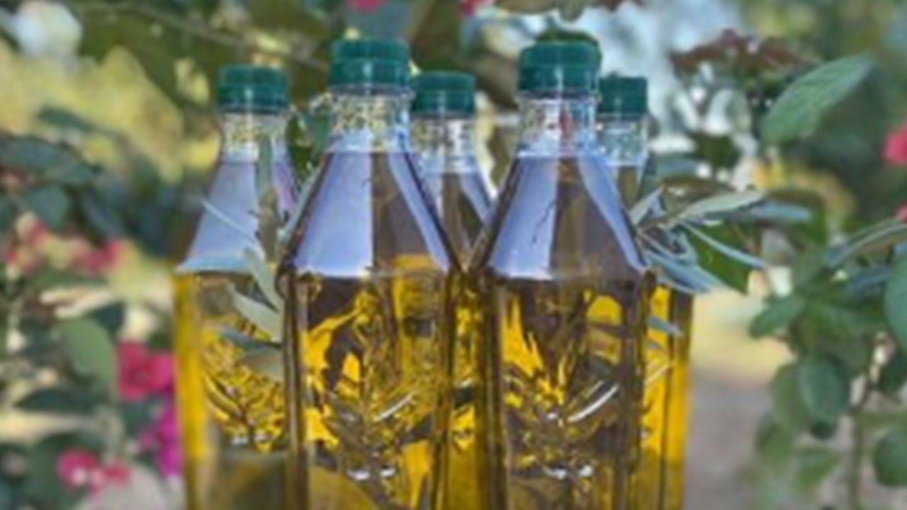 Foto - Sahtekarlık yapan zeytinyağı markaları belli oldu! İşte tam liste...