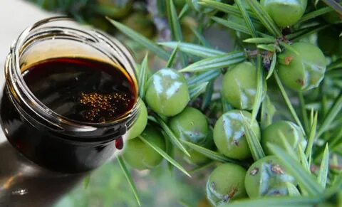 Foto - Sahurda mutlaka 1 kaşık tüketin! Canan Karatay bu besine tam puan verdi