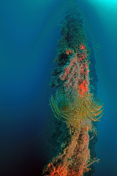 Foto - Saint Didier batığı böyle görüntülendi