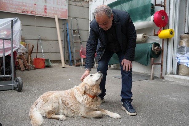 Şaka değil gerçek! Köpeğin bir havlaması 700 bin liraya mal oldu