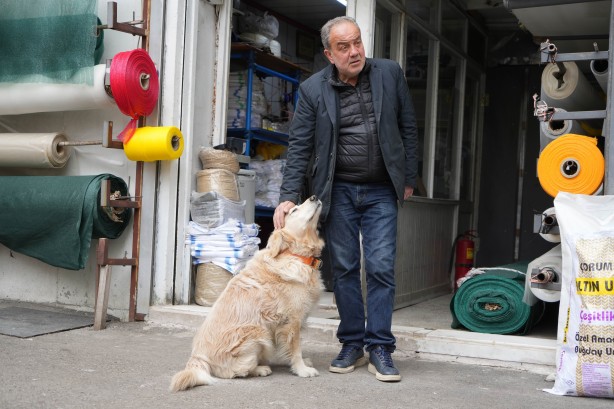 Foto - Şaka değil gerçek! Köpeğin bir havlaması 700 bin liraya mal oldu