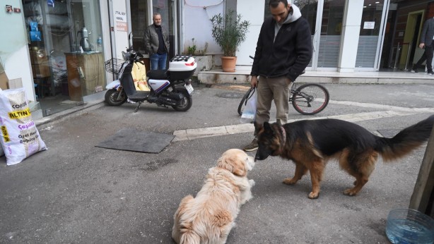 Foto - Şaka değil gerçek! Köpeğin bir havlaması 700 bin liraya mal oldu