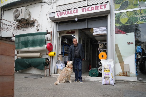 Foto - Şaka değil gerçek! Köpeğin bir havlaması 700 bin liraya mal oldu