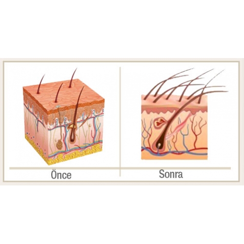 Foto - Sakalını koparanlar dikkat! Nasıl olur? İşte en kolay yöntemler…