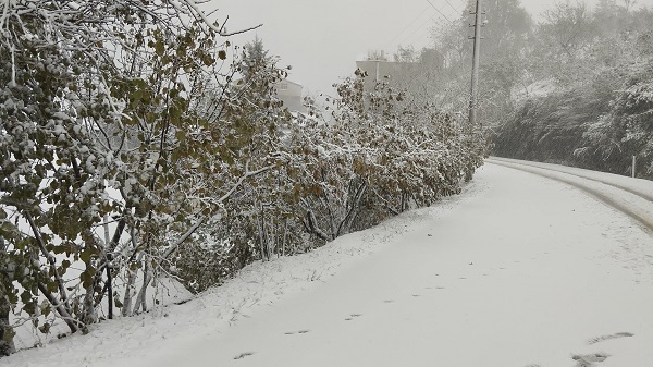 Foto - Sakarya beyaza büründü