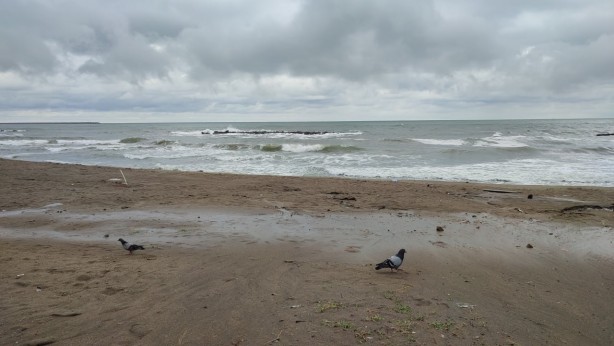 Foto - Sakarya sahillerinde denize giriş yasaklandı