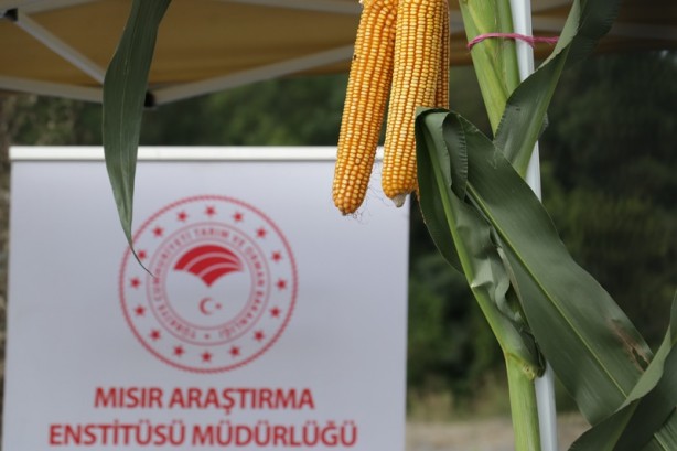 Foto - Sakarya'da geliştiriliyor! 