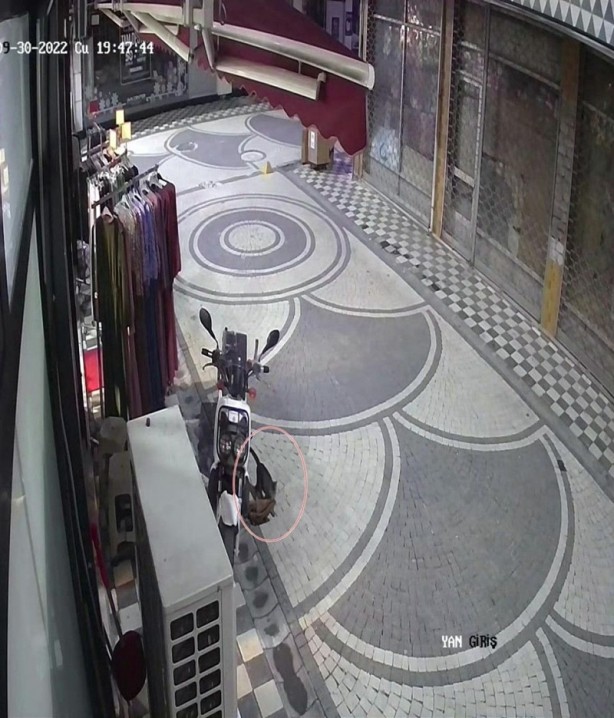 Foto - Sakarya'da ilginç olay! Kedi, mağazadan elbise alıp kaçtı