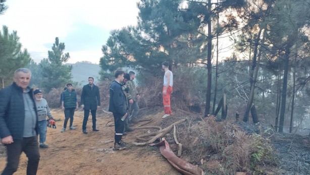 Foto - Sakarya’da korkutan orman yangını!