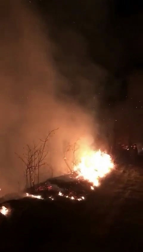 Foto - Sakarya'da orman yangını!