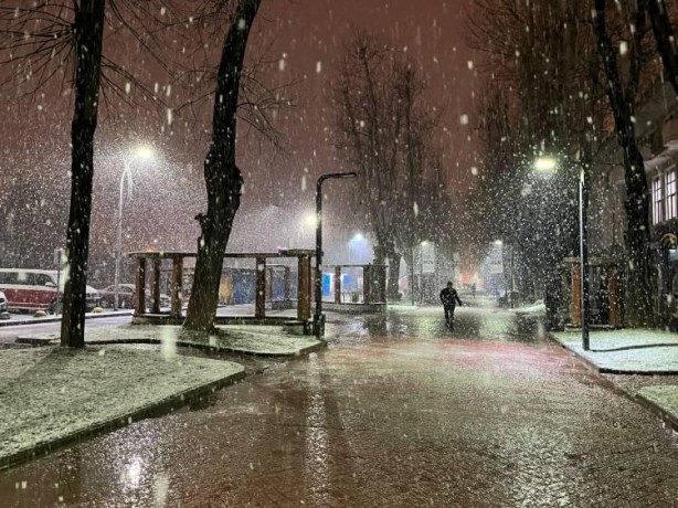 Foto - Sakarya'da yağan kar, kartpostallık manzaralar oluşturdu