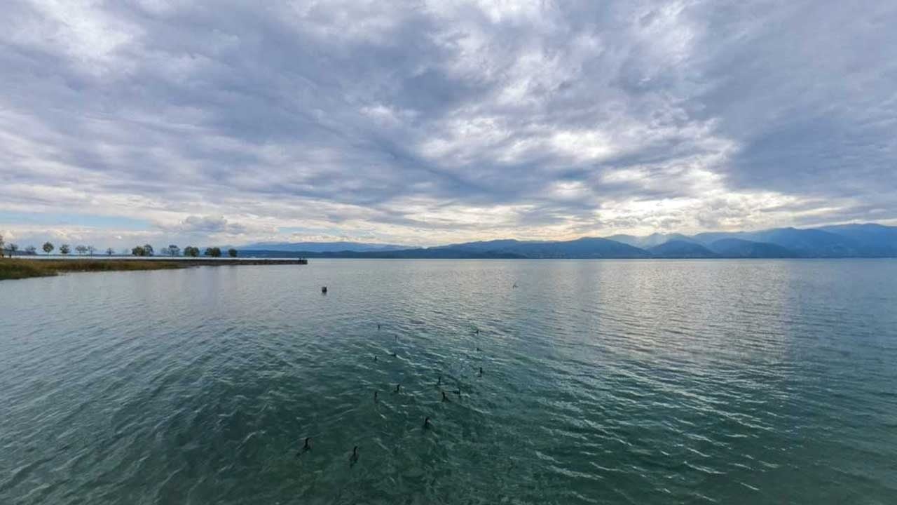 Foto - Sakarya'dan güzel haber