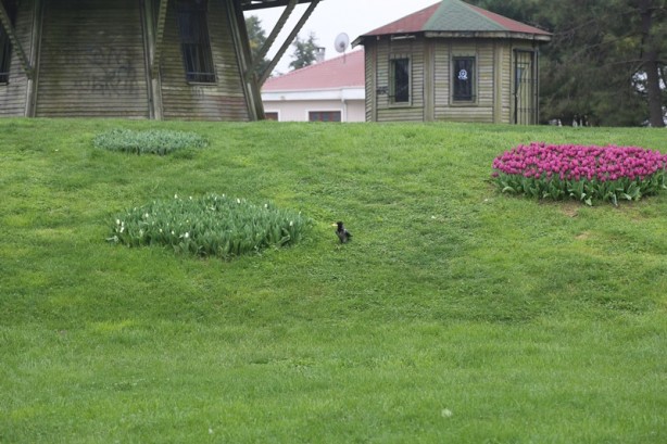 Foto - Sakarya'nın nadide mekanlarından: Kent Park - 1