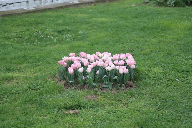Foto - Sakarya'nın nadide mekanlarından: Kent Park - 1