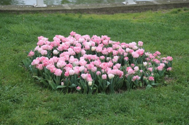Foto - Sakarya'nın nadide mekanlarından: Kent Park - 1
