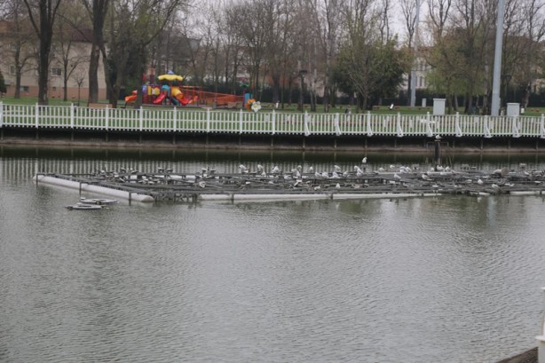 Foto - Sakarya'nın nadide mekanlarından: Kent Park - 1