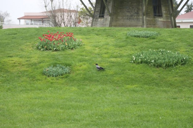 Foto - Sakarya'nın nadide mekanlarından: Kent Park - 1