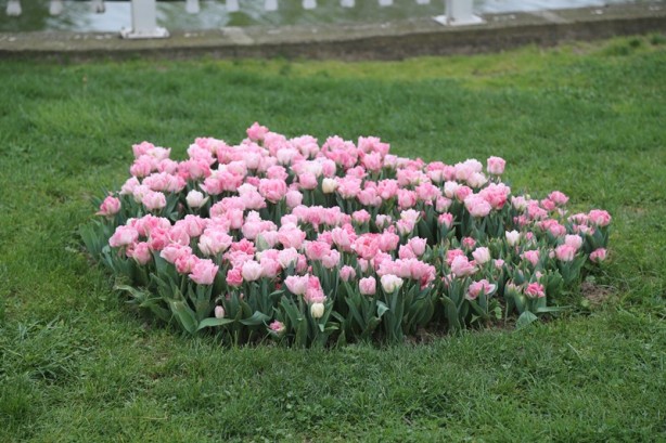 Foto - Sakarya'nın nadide mekanlarından: Kent Park - 1