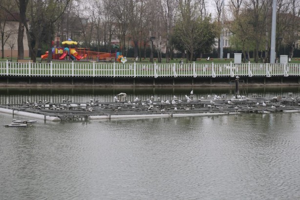 Foto - Sakarya'nın nadide mekanlarından: Kent Park - 1