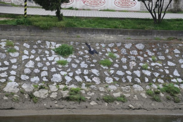 Foto - Sakarya'nın nadide mekanlarından: Kent Park - 2